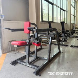 <span class=keywords><strong>Machine</strong></span> de musculation commerciale robuste et réglable pour <span class=keywords><strong>triceps</strong></span> et extensions de bras assises, avec système de charge à disques, pour l'entraînement de force, à vendre - Product Image 5