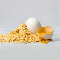 Poudre d'œuf entier riche en protéines pour compléments alimentaires, poudres nutritionnelles