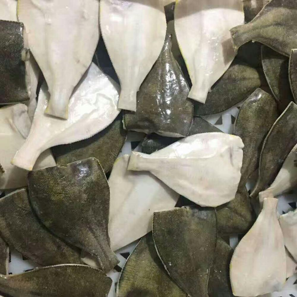 冷冻黄貂鱼滑鱼 - buy skate fish,stingray fish,frozen skate fish