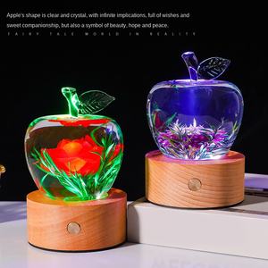 โคมไฟรูปถ้วยรางวัลแอปเปิ้ลหลากสีสัน ประดับด้วยดอกไม้แห้งและเรซิ่น พร้อมฐานไม้ ขนาด 15x8 ซม. เหมาะสำหรับเป็นของขวัญวันเกิดเพื่อนและวันวาเลนไทน์ - Product Image 5