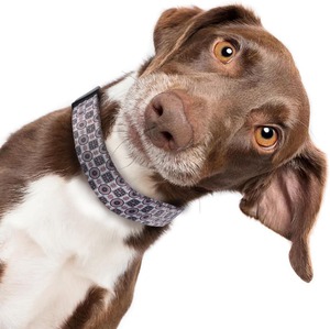 Luxury Custom Polyester Small <strong>Dog</strong> <strong>Collar</strong> with Animal Pattern Elegant Rose Gold Buckle Breakaway Anti-Choke Design Sash <strong>Bell</strong> - Product Image 6
