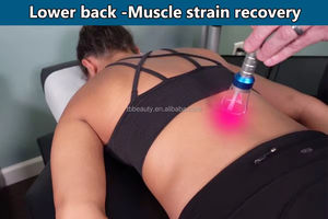 Mesin Terapi <span class=keywords><strong>Laser</strong></span> Tingkat Rendah Kelas 4 1064nm 980nm Lllt untuk Rehabilitasi, Pereda Nyeri, dan Relaksasi Klinik Hewan - Product Image 4