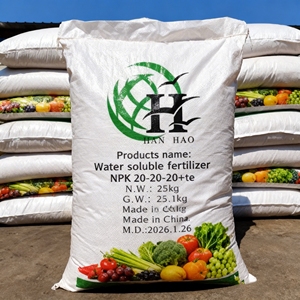 Fertilizzante Idrosolubile NPK 20-20-20+S+TE Grado Agricolo 100% Solubile in Acqua per Idroponica - Product Image 6