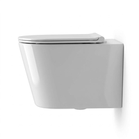 WC suspendu mural de luxe, cuvette élégante et lisse à fixation latérale avec réservoir intégré pour salle de bain d'appartement
