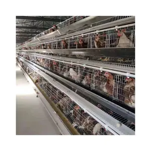 chicken house cage chicken cages for sale egg laying chicken cage