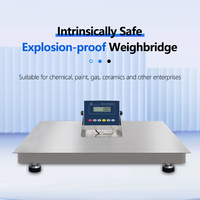Pont-bascule industriel SOHE 0~3T en acier inoxydable, intrinsèquement sûr et antidéflagrant, avec écran LCD, OEM/ODM, garantie 1 an, haute performance