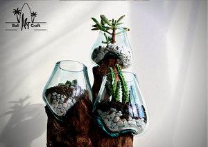 Terrarium <span class=keywords><strong>fermé</strong></span> de luxe Bouteille moyenne Vases pour plantes hydroponiques Bouteille en verre de terrarium à haute teneur en borosilicate faite à la main pour <span class=keywords><strong>plante</strong></span> - Product Image 5
