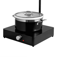 Réchaud électrique commercial en acier inoxydable noir, lampe chauffante pour aliments légers, pour hôtel, restaurant, avec pot à nourriture