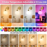 Lampu Dinding Emas Brushed, Tempel dan Pakai, Baterai, Kaca Buram, Nirkabel, Bohlam Isi Ulang 12 RGB, untuk Meja Rias