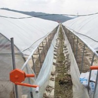 Serre en film |   Structure de cadre de serre |   Grande serre en plastique multi-voûtes pour plantes