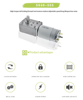 5840-555 Turboworm Motor DC Mikro Brushed 16-470RPM 12-24V Kecepatan Dapat Diatur Pengalihan Maju/Mundur Torsi Peralatan Rumah Tangga