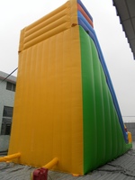 Glissière d'eau gonflable de thème de dessin animé conçoivent la surface antidérapante de qualité commerciale de glissière d'éclaboussure de PVC de terrain de jeu d'enfants