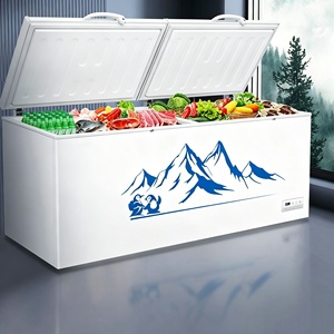 <span class=keywords><strong>Congélateur</strong></span> vertical commercial à double porte, ultra-grande capacité, idéal pour supermarchés et usage domestique, pour la conservation <span class=keywords><strong>de</strong></span> la viande et du poisson - Product Image 2