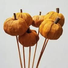 พานาฟักทองธรรมชาติคุณภาพระดับพรีเมี่ยมสำหรับการตกแต่งแบบทำมือพืชดอกไม้สำหรับงานแต่งงานสำนักงานการจัดยอดนิยมสำหรับดอกไม้แห้ง - Product Image 4