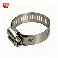 Collier de serrage en acier inoxydable de haute qualité à livraison rapide