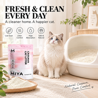 Litière pour chat MIYA en cassave naturelle, sans poussière, à agglomération rapide, haute absorption, jetable aux toilettes, écologique, vente en gros, directement de l'usine