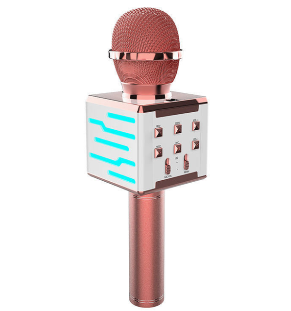Wireless Speaker Handheld Microphone Karaoke Mic Music Player KTV Microphone With BT Speaker MIC Support TFUS
