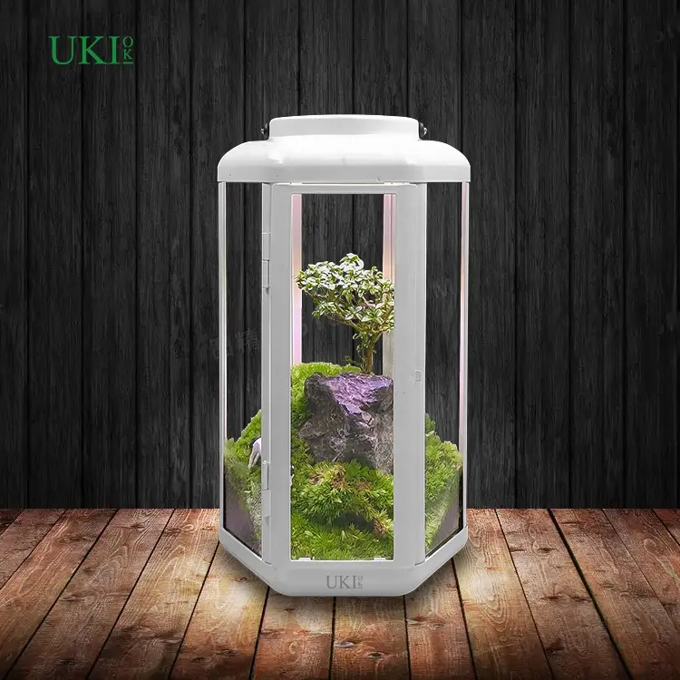 Ukiok 2022 nuovo modello Mini giardino decorativo smart farm indoor garden indoor flower small desk garden