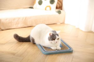 Rascador para Gatos Resistente con Diseño Impreso 'Catching of the Day' 43X32X2.2CM, Almohadilla de Rascado de Papel Corrugado para Gatos - Product Image 5