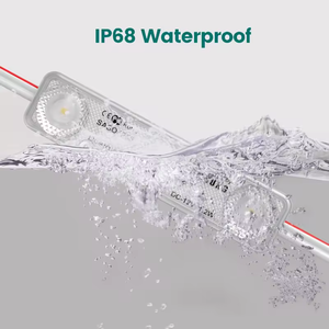 Sáng cao SMD 2835 Hàn Quốc tiêm mô-đun 24V 160 độ 3 đèn <span class=keywords><strong>LED</strong></span> <span class=keywords><strong>LED</strong></span> ánh sáng DC12V 1.2 wát <span class=keywords><strong>LED</strong></span> mô-đun ngoài trời không thấm nước IP65 - Product Image 2