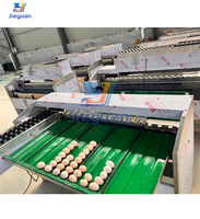 Machine de triage des œufs pour œufs de poulet et de canard, triage des œufs par poids et taille, en acier inoxydable, pour utilisation dans les fermes avicoles