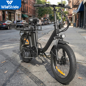 Bicicleta Eléctrica Plegable de 20 Pulgadas con Llantas Gruesas, 500W, 48V, Frenos de Disco, para Ciudad, Modelo EB10, con Motor Trasero sin Escobillas de 500W - Product Image 3