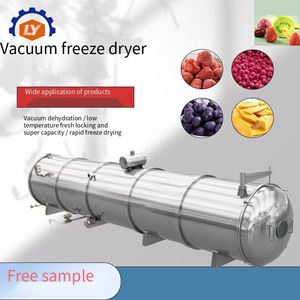 Máquina Automática de Secado por Congelación de Frutas y Verduras/Precio de la Máquina de Secado por Congelación/Máquina Industrial de Secado por Congelación - Product Image 1
