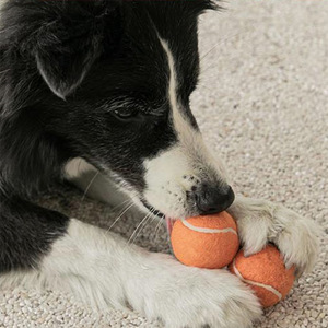 Juguete Masticable de Goma Resistente para Perros con Forma de Pelota de Tenis - Autoentretenimiento y Antiaburrimiento para Border Collies, Golden Retrievers, Corgis y Todas las Razas - Product Image 3
