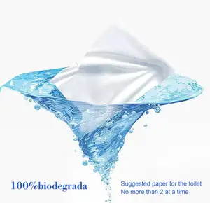 OEM ODM 100% Flushable Biodegradable Wet Wipes Alcohol Free Baby Eco Wet Wipes For Sensitive Skin