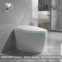 Inodoro Inteligente con Asiento de Bidé Automático, Secador de Aire Caliente, Cierre Suave y Desodorizador, Precio al por Mayor, Fabricante OEM, OEM/ODM