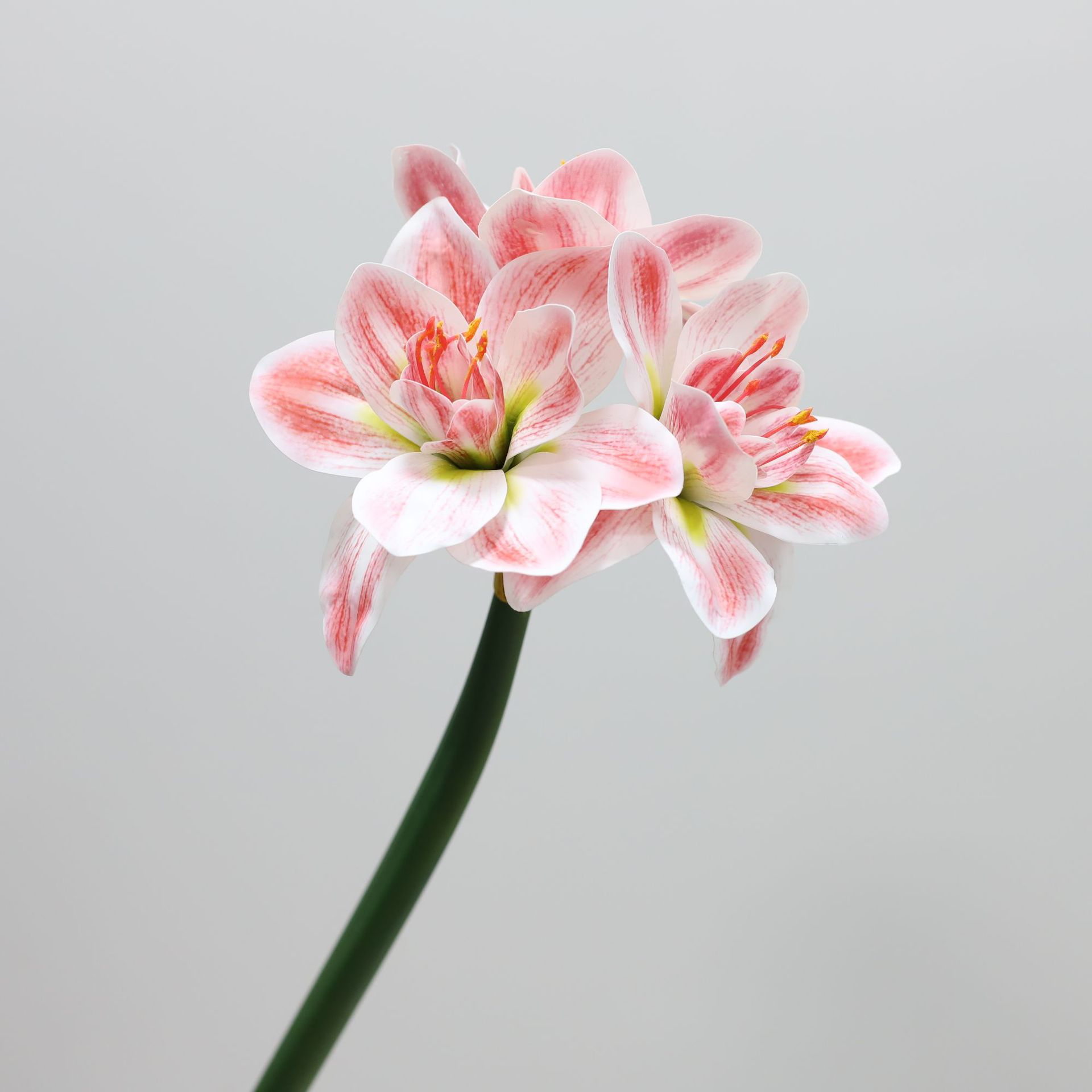 pinkish green