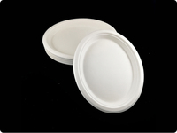 Assiette ovale jetable biodégradable 12,5*10 en bagasse de canne à sucre pour plats à emporter, gâteaux, barbecues et fruits
