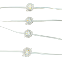 20 Pixels DC24V WS2805 RGBIC + CCT 5 Couleurs 30mm Hexagone Adressable LED Permanent Extérieur Maison Avant-toit Lumières 3Pin Blanc Fil IP68