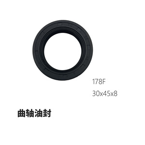 Pièces de pompe à eau et joint d'arbre à cames pour générateur de motoculteur diesel refroidi par air, modèles 173, 178, 186FA, 188, 192F - Product Image 3