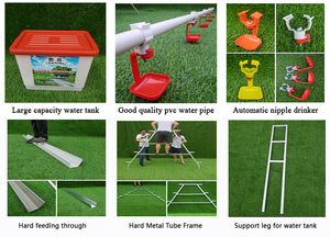 Top Sale Guaranteed Quality Chicken Farm <strong>Cage</strong> Poultry <strong>Cage</strong> Layer Chickens Poultry <strong>Cage</strong> for Home Use - Product Image 5