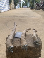 Perchoir pour oiseaux en bois de café massif, mobilier pour animaux de compagnie, pour perroquets, toutes saisons, Lam Dong Vietnam