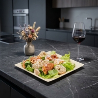 Plateau de service jetable en bois de peuplier naturel, forme bateau, grain de bois, écologique, compostable, pour sushi, traiteur de croisière, qualité supérieure
