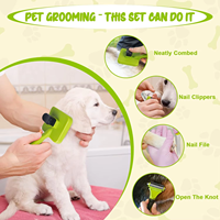 Fournitures pour animaux de compagnie Peigne de toilettage en plastique Outil de peigne démêlant pour épilation de chat et perte de chien Brosse d'épilation de chat