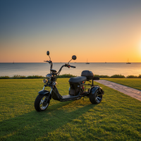 Triciclo Eléctrico de Tres Ruedas, Scooter Eléctrico de Tres Ruedas con Golf 4000W para Adultos