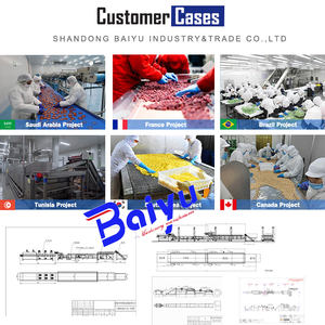 Máquina de congelación de alimentos congelados Industrial Baiyu, equipo de almacenamiento de patatas fritas congeladas rápidamente con componentes centrales PLC - Product Image 2