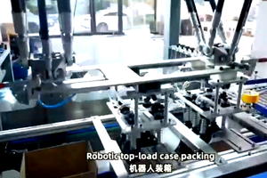 <span class=keywords><strong>Robot</strong></span> de 2 Ejes Económico de Alta Velocidad para Líneas Automatizadas de Envasado de Alimentos y Sellado de Cajas - Product Image 3
