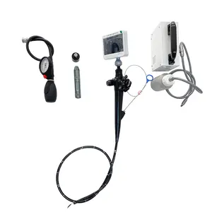 Veterinary Fiber Flexible Endoscope Video Pharyngoscope For Cat Dog Cattle Horse