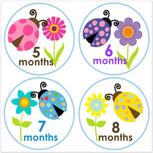 ¡Póngase en contacto con el proveedor chatear ahora! Hito pegatinas bebé hito - Product Image 3