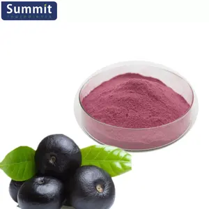 Hot Sale Brazilian Acai Berry Powder Acai Berry Juice Powder AcaiBerry Powder