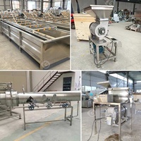 Automatische tomatenverwerkingslijn, tomatenproductielijn, eenheid voor sausproductie, Turkse machine voor het maken van ketchup