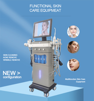 Nouvelle machine de soin du visage 14 en 1 Hydro Hydrofacialings Hidrafacials Hydragirl Hydra Dermabrasion Hidrofacials