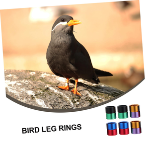 Bague en aluminium, Chaîne de patte pour oiseaux, Sangle de patte, Bague pour pigeon, Bague de patte pour perroquet, Fournisseur de production - Product Image 4