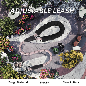 Venta al por mayor barato reflectante ajustable Pet Slip Lead estilo a rayas correa de perro Hecho de nylon para entrenamiento y trotar muestra gratis - Product Image 2