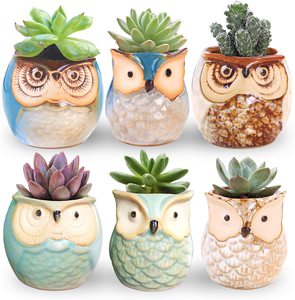Pot de fleur hibou 2.5 pouces, petits Pots en céramique style <span class=keywords><strong>bonsaï</strong></span> Succulent avec trou, lot de 6 pièces - Product Image 1