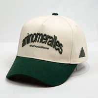 Casquette de baseball snapback à visière plate personnalisée, thème tropical, pour activités extérieures, avec broderie du logo de l'équipe/du club, design 5 panneaux ajustable